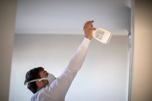 Best Localized Mold Remediation (e.g., coastal areas, humid climates) in Jal, NM