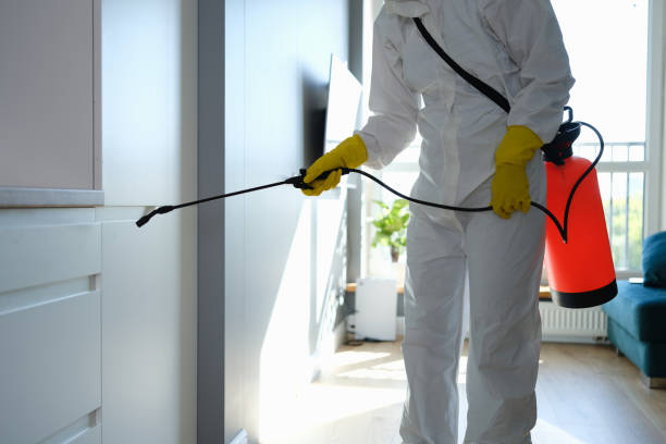 Best Commercial Mold Remediation in Jal, NM