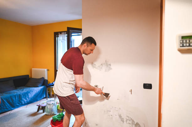 Best Mold Remediation for Specific Building Types in Jal, NM